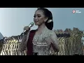UMI HAFIFAH - LANGGAM ULO TAMPAR