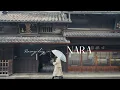 Download Lagu Regenachtige dag in de oude stad van Naramachi #Nara 🌧️ Verlaten markt en Machiya-cafés | Japan Vlog