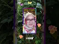 Download Lagu Maya Angela _ Dulu Dan Sekarang #artist #penyanyi #pop #indonesia