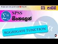 Aggregate Function in SPSS 05 ACVAMAS Sri Lanka s Best Online Learning Platform