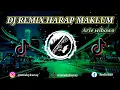 Download Lagu DJ REMIX HARAP MAKLUM