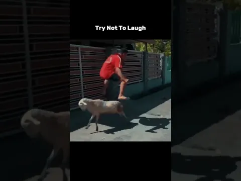 Try Not To Laugh | #shorts
