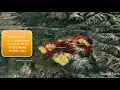 Washington Wildfire Fly Through 8-23-2018