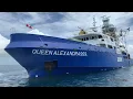 Download Lagu ❗️TUNA FISHING VESSEL ❗️FV QUEEN ALEXANDRA 959 | PURSE SEINE | KAPAL JARING BESAR |