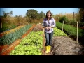 Download Lagu Agricultura Orgânica - Momento Ambiental