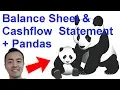Reading Balance Sheet Cashflow Statment into Pandas - Ep 5