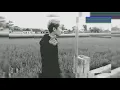 Download Lagu Gludug tok ora udan cedak tok ora jadian