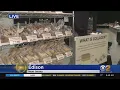 Shop Local Saturday Arks-N-Barks NJ Pet Supply