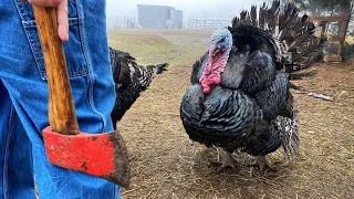 Butchering Turkeys Easy Set Clean Up