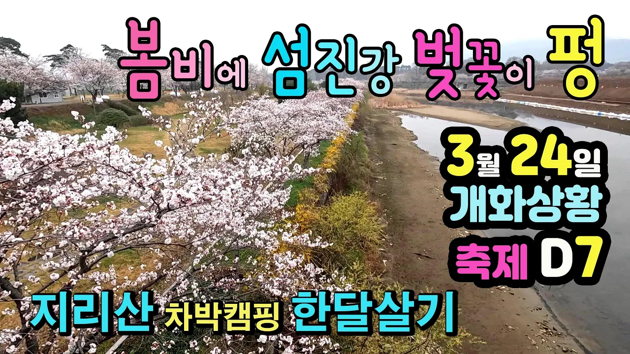 구례 섬진강 국내여행 섬진강 벚꽃 3월 24일 개화상황 드디어 지리산 한달살기 끝이 보여요 구례장날 압록유원지 무료캠핑장 차박천국 サムネイル
