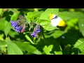 12 Hours of Relaxing Piano Music: Riley | Calming Music for Sleeping | Ocb relax