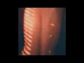 Yehra - Magnetic