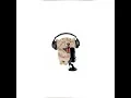 Download Lagu Cats speed up! (10 hours)
