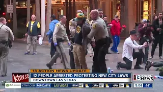 Mug shots of Occupy Fremont protesters released