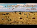 Download Lagu Serengeti Landscapes, August, 2023