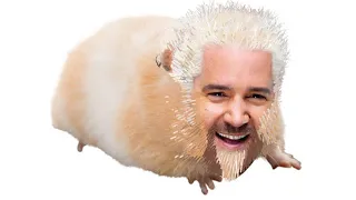 Not a professional opinion but Guy Fieri needs help