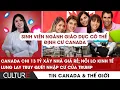 Download Lagu 🔴Sinh viên Ngành Giáo dục có thể định cư Canada, Canada chi 13 tỷ đô xây nhà giá rẻ |TIN CA-TG 17/8
