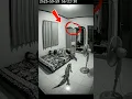 Download Lagu Terekam Jelas Kamera CCTV Seekor TOKET Sebesar TOBRUT #shorts #viral #fyp #tokek