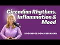 Lagu Circadian Rhythms Inflammation and Mood A Holistic Approach to Mental Health