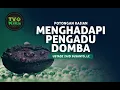 Download Lagu 6 Cara Menghadapi Pengadu Domba