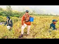Download Lagu Alaska Provides! Berry Picking the Tundra! + The Barn Build Continues...