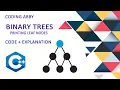 Binary Tree Printing Leaf Nodes Coding Abby