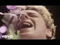 Download Lagu The Clash - I Fought the Law (Official Video)