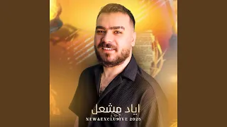 لامهندس لادكتور دندنها