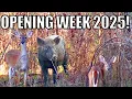 Opening Week Madness Georgia Deer Season 2025 Kickoff