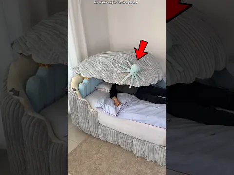 snail bed 😲