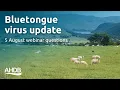Bluetongue virus - 5 August webinar questions A B Webinar