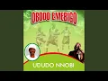 Download Lagu Ojonma (Akala Aka)