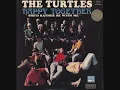 Turtles - Too Young Too Be One