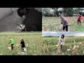 OLEH TOKEK SOKO OMAH E MBAK ENDAH LANJUT PANEN JAGUNG E PAK LURAH 🥰🤗