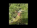 Download Lagu [FREE] Pi'erre Bourne x Playboi Carti Slow / Chill Type Beat