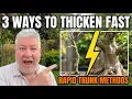 Your Bonsai Trunk Is Too Thin Do This Now