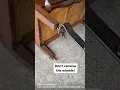 What to do if furniture is missing a wheel Remove the rest and let the piece stand on its legs