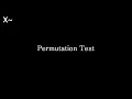 Permutation Test