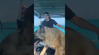 HAPPY SUNDAY! See you in the comment section🤙🏼 #sailing #vlog #shorts