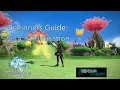 FF14 Beginners guide Pet Customisation