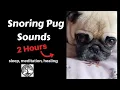 Snoring Pug Sounds 2 Hours Relaxing Healing Ambient