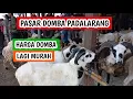 Download Lagu Harga domba garut dan domba priangan lagi murah murah (090925)
