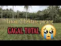 Lagu HATI-HATI !!! INILAH PENYEBAB GAGAL PANEN #PORANG