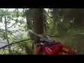 Download Lagu Flying tree meme