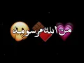 ياسر عبد الوهاب يالضحكتج عافيه كلبي