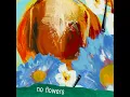 no flowers - phendste