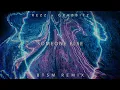Rezz x Grabbitz - Someone Else (Black Tiger Sex Machine Remix)