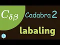 Cadabra 2 Tutorial 2 - Sympy based Symbolic Math Labeling