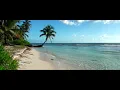46- Call of the Sea (바다의 부름) - David Arkenstone (Caribbean Beach)