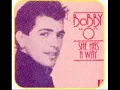 BOBBY O she has a way 1982